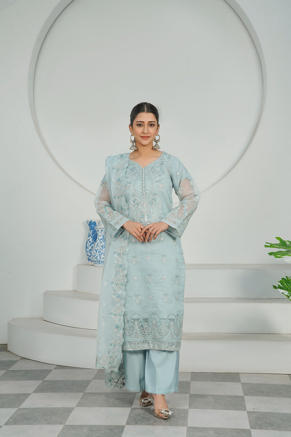 3-PC Fancy Embroidered Karandi Net